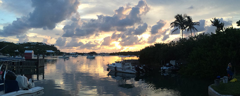 Allianz - Bermuda Sunset