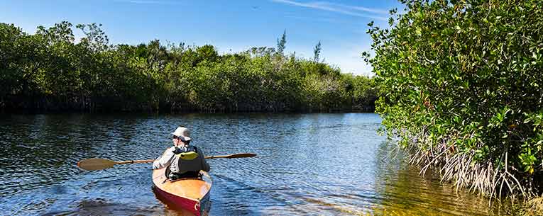 Allianz - Everglades Kayaking