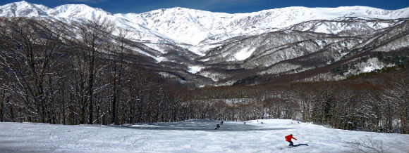 Allianz - skiing in japan