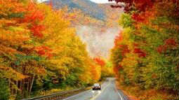 car driving down a road surrounded by fall foliage