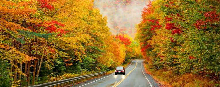 Allianz - car driving down a road surrounded by fall foliage