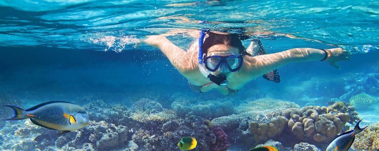 Allianz - woman snorkeling with fish