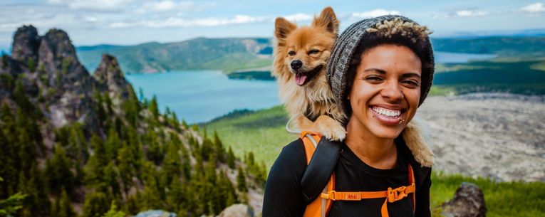 Allianz - traveler with dog with lake in background