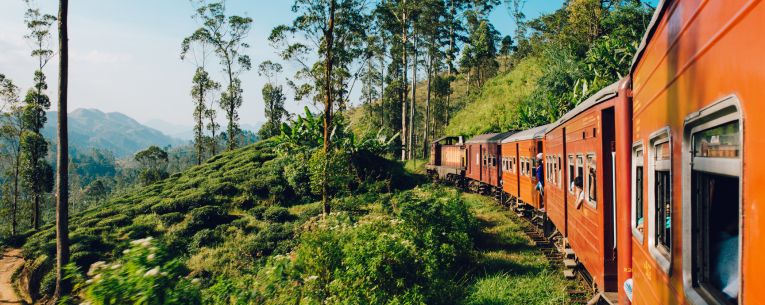 Allianz - train ride through forest