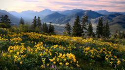 North Cascades National Park