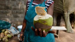 woman selling coconuts in lome, togo